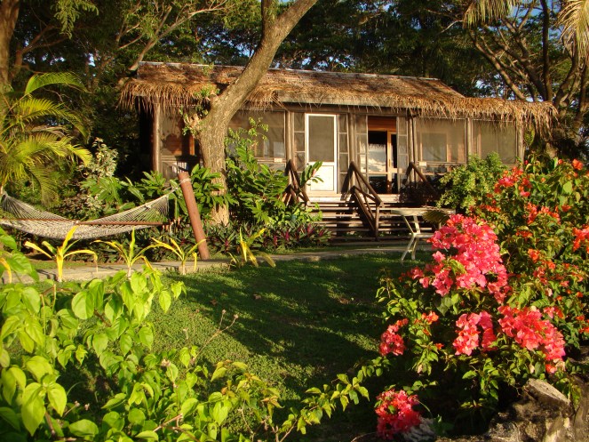 11010396083_68cdda5124_o