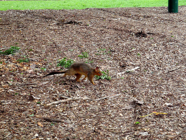 11010207746_fa55c993ca_z