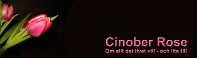 Cinober Rose - förslag till header