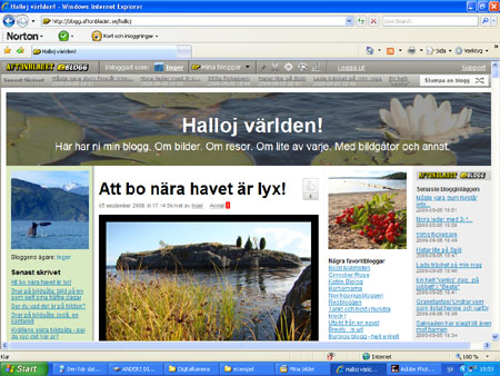 Header med näckrosor