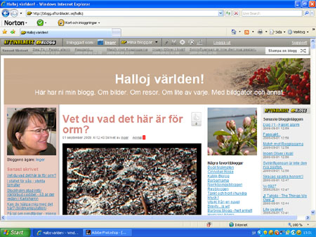 Med rönnbärsheader