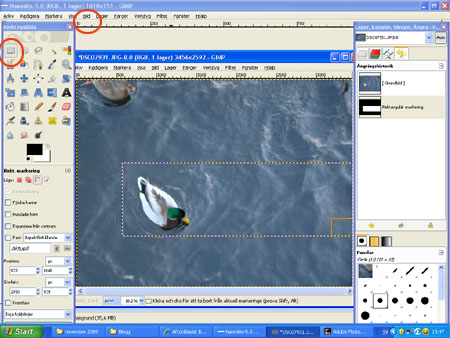 beskär bild i Gimp beskär bild i Gimp