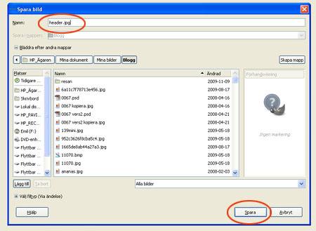 Dialogrutan "Spara bild" Dialogrutan "Spara bild"