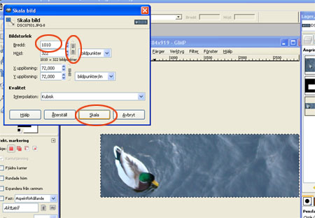 Dialogrutan "Skala bild" Dialogrutan "Skala bild"