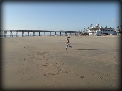 tillbakablick - november 2008