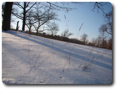 Vinter i Karlshamn - Bellevue