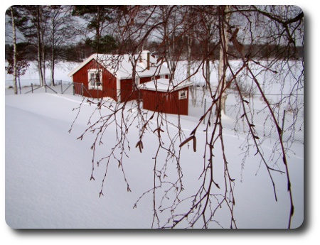 Vinter i Karlshamn - hängbjörk och stuga Vinter i Karlshamn - hängbjörk och stuga
