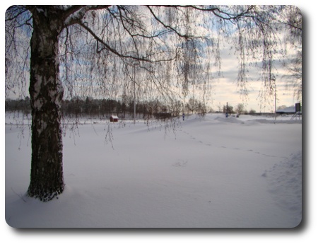 Vinter i Karlshamn - vid Långasjön Vinter i Karlshamn - vid Långasjön