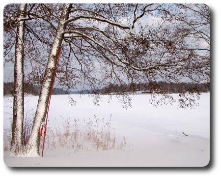 Vinter i Karlshamn - Långasjön Vinter i Karlshamn - Långasjön