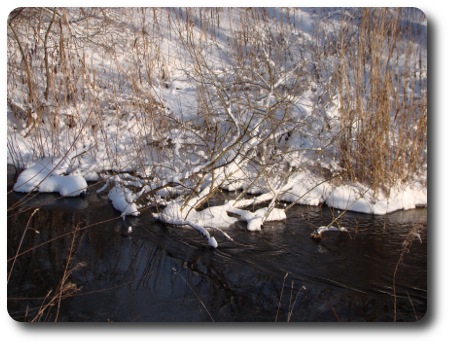 Vinter i Karlshamn - Mieån Vinter i Karlshamn - Mieån