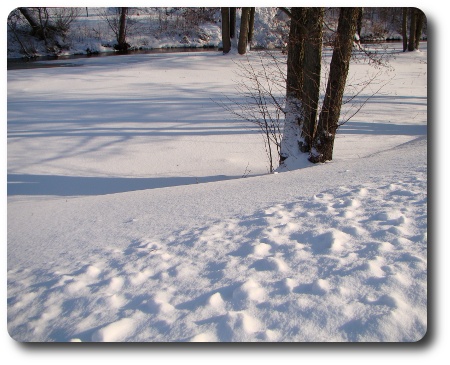 Vinter i Karlshamn - vid Mieån Vinter i Karlshamn - vid Mieån