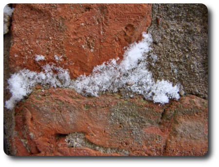 vinter i Karlshamn - tegelstenar vinter i Karlshamn - tegelstenar