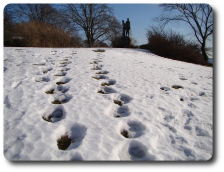 snön smälter snön smälter