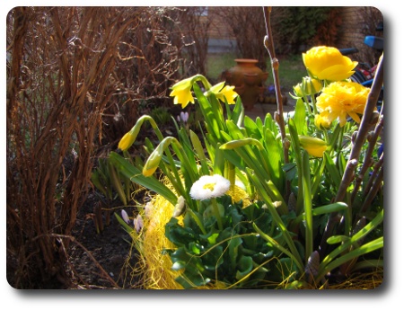 Glad Påsk! Glad Påsk!