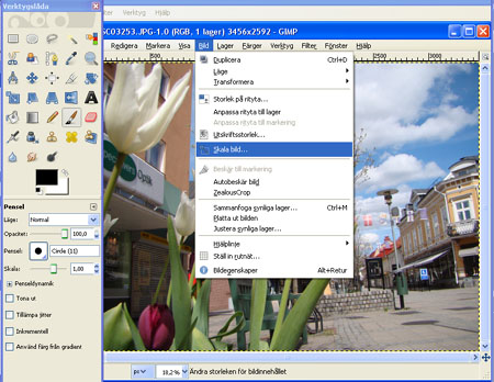 Gimp - Bild - Skala bild...