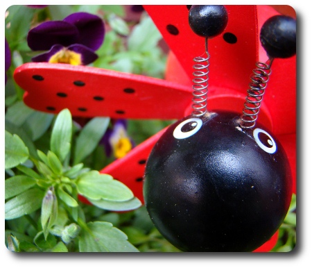 Blomdekoration i form av nyckelpiga Blomdekoration i form av nyckelpiga