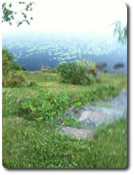 Impressionistiskt foto av trappa och näckrosor