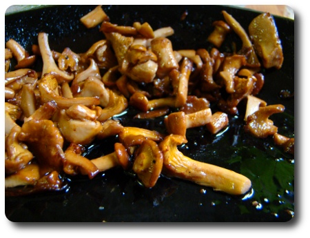 nystekta kantareller