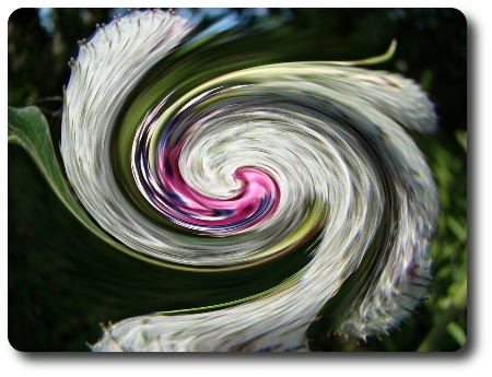 Fräck bildeffekt! Fräck bildeffekt!