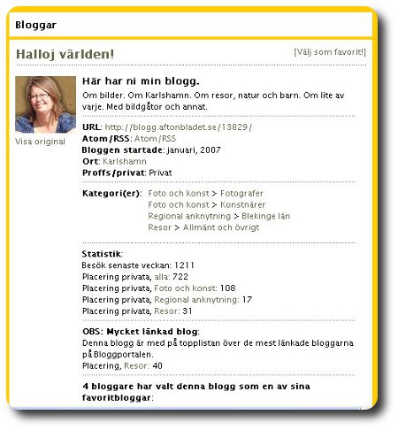 bloggstatistik