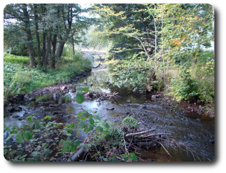 Stenbro över Mieån