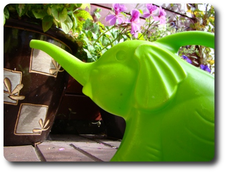 Min vattenkanna här hemma.