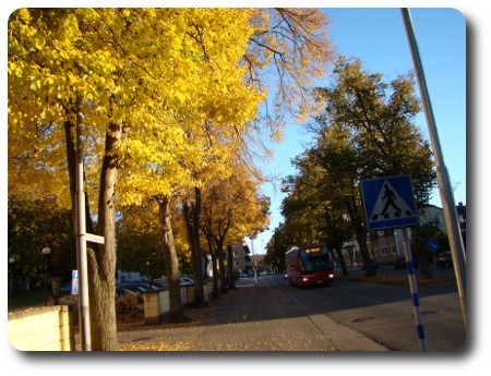 Vissa dagar är trots allt vackrare än andra.