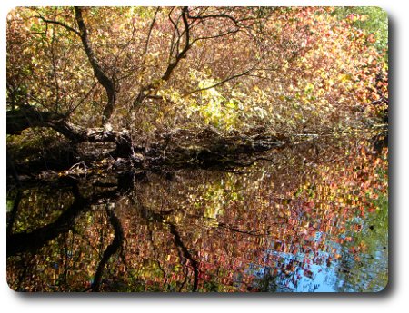 Asch du är ju bara gammal och trött