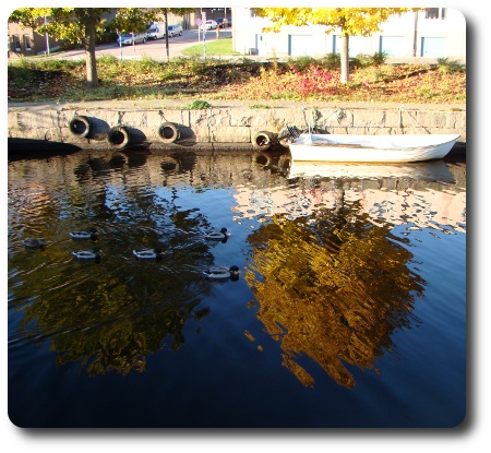 Ännu ett träd som speglar sig i ån.