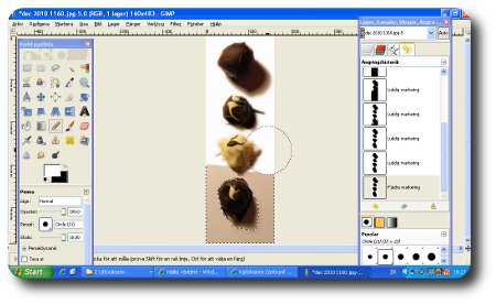 Måla bakgrunden vit