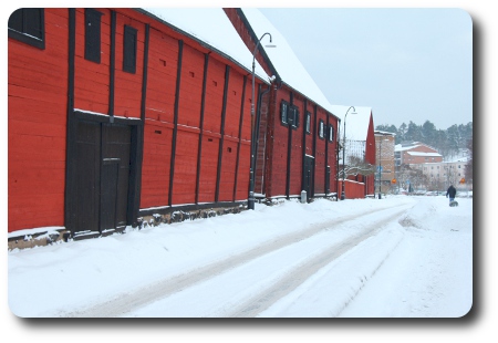 Granen dras hem på pulka