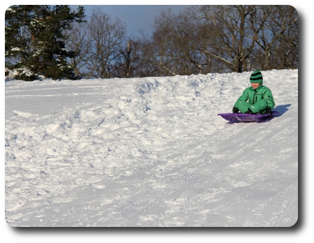 Sjuåringen åker pulka