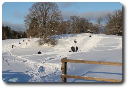 Pulkabacke vid Långasjön