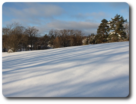 Decemberlånga skuggor