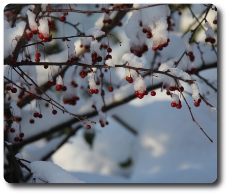 Julstämning i Karlshamn