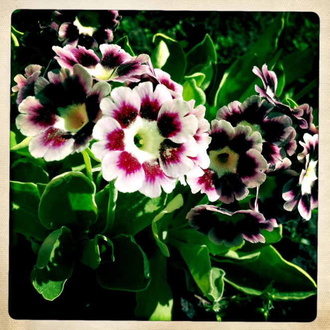 20120505-223322.jpg