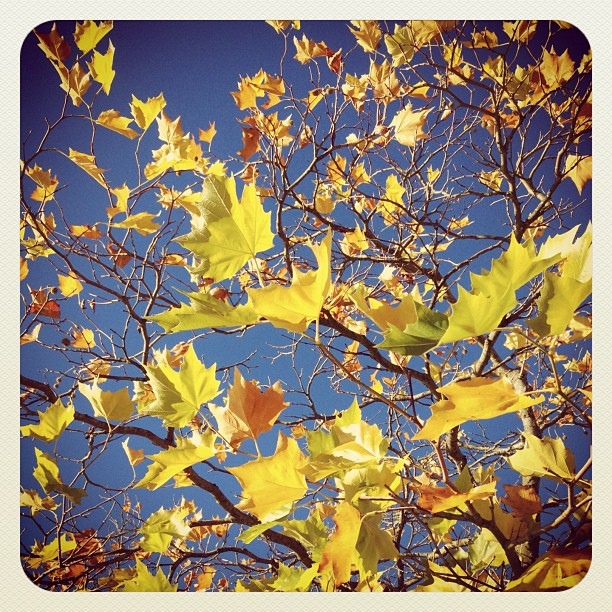 20121111-165554.jpg