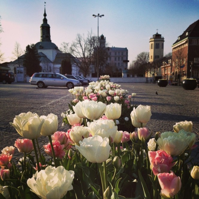 20130505-172547.jpg