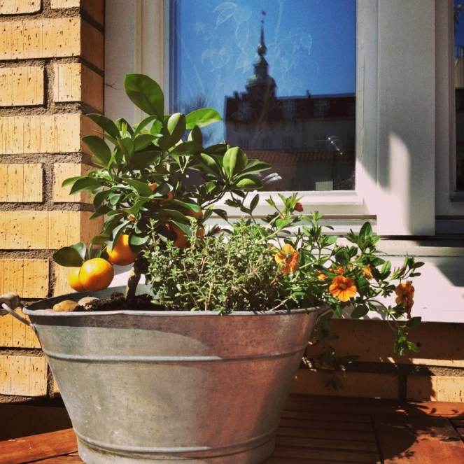 20130505-172618.jpg