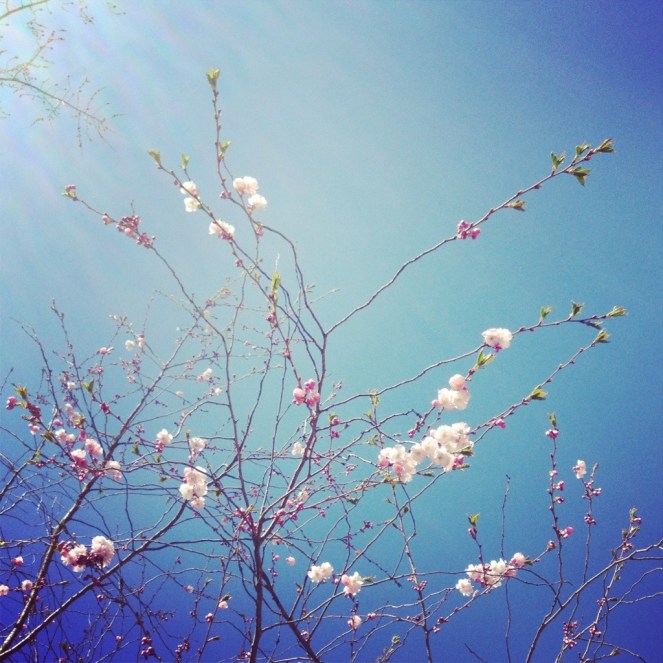 20130505-173541.jpg
