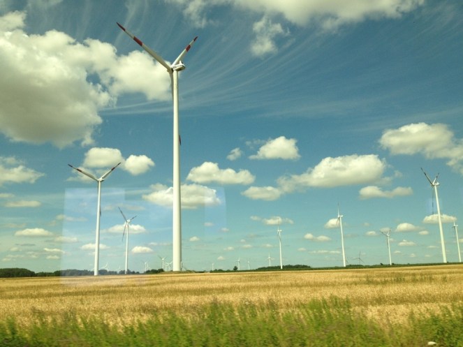 20130808-202315.jpg