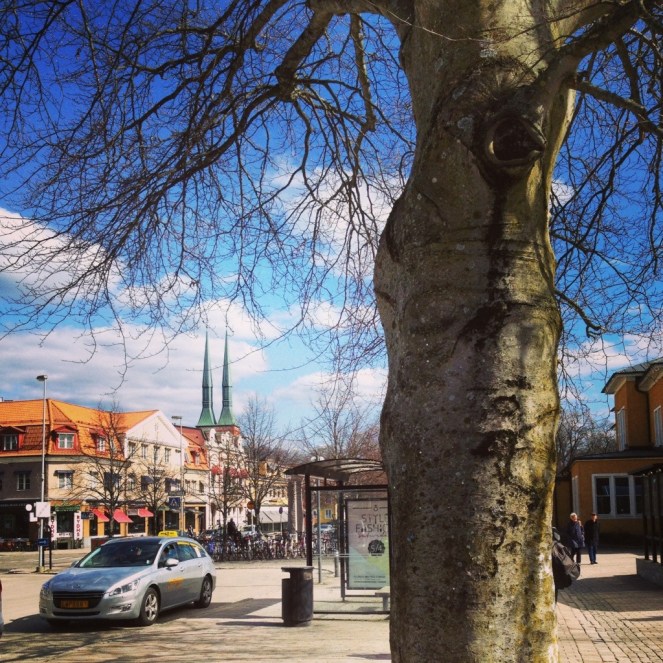 20140404-174344.jpg
