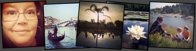 ny header november 2013