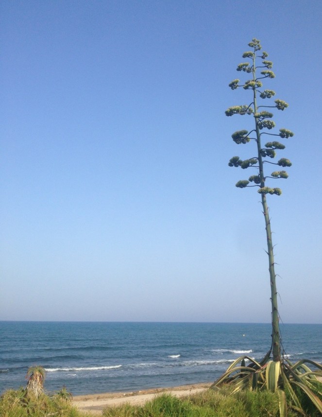20150708-115637.jpg