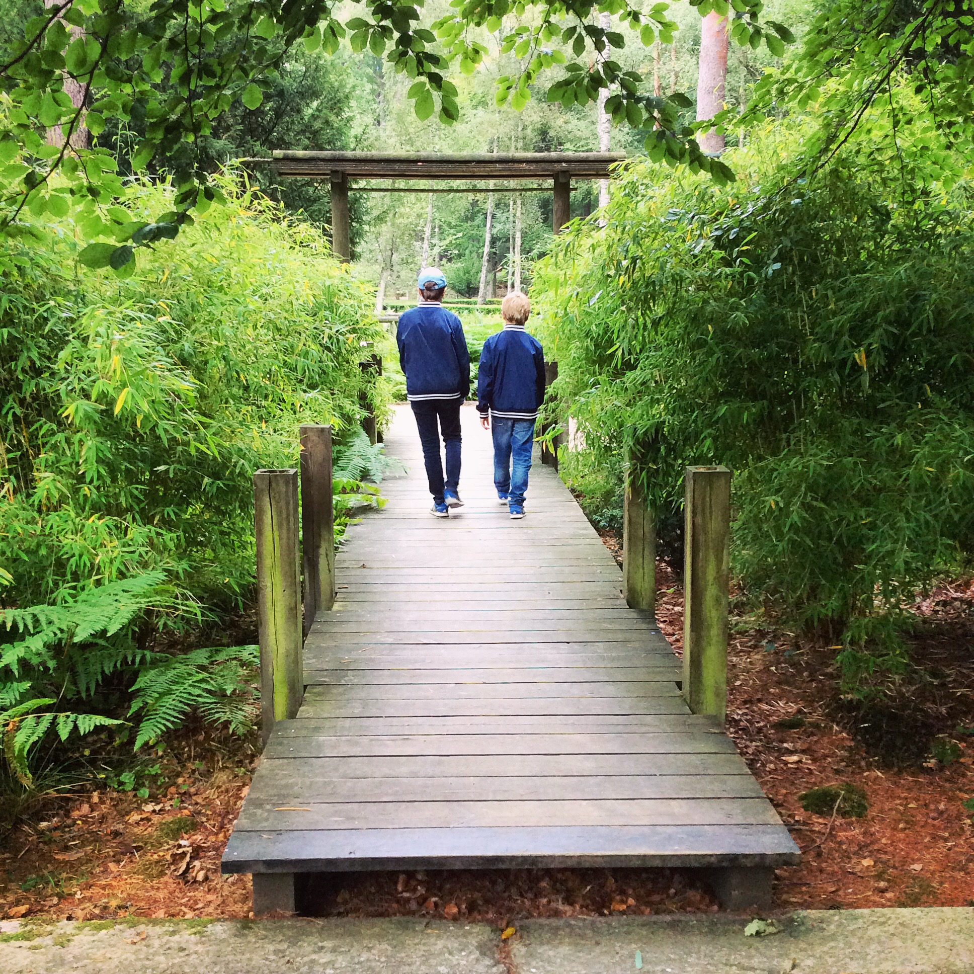 Japansk trädgård i Brunnsparken.