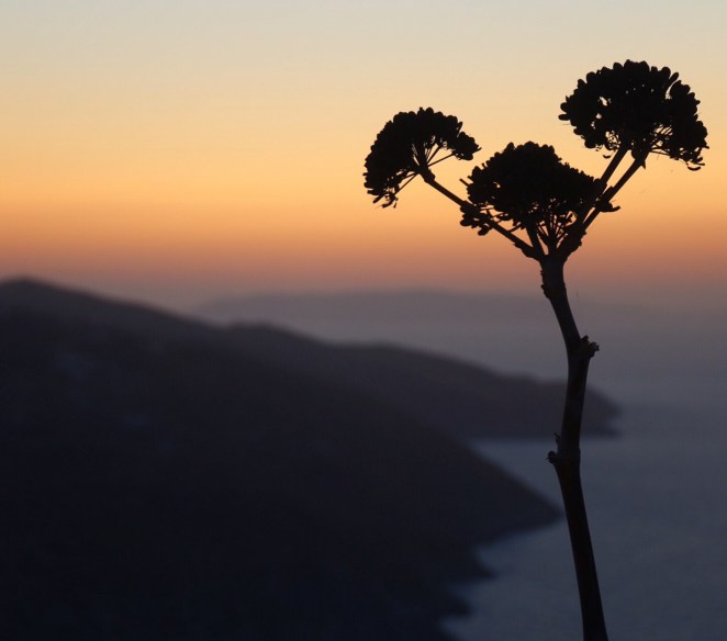 68169815-6b03-4b17-8683-06084abece67-2