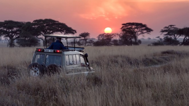 414fbba0-71de-4c98-8241-9193a2baffcc