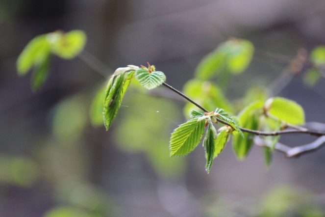 90032e70-e46e-474f-9121-10eaf6401fa7