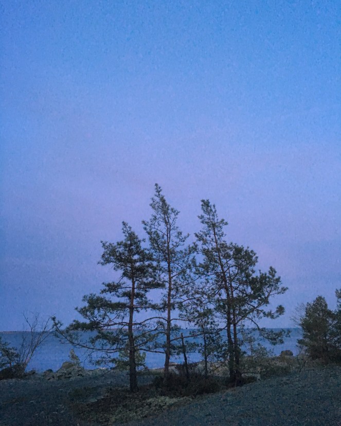 dfa35321-ae1d-4055-aa09-b45c0a1d6551