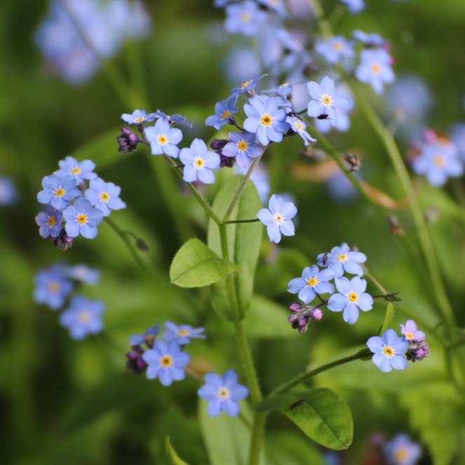 78c29e34-427b-4305-8a7d-8fd65df660e5